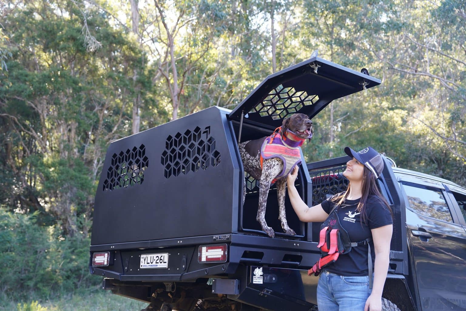 MITS Alloy Dog Box